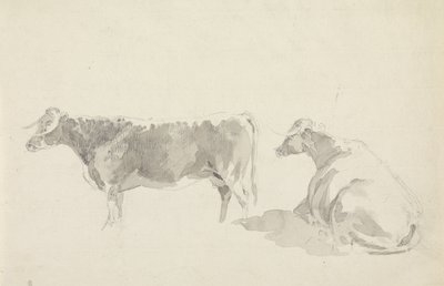 Studi di bovini da Sawrey Gilpin